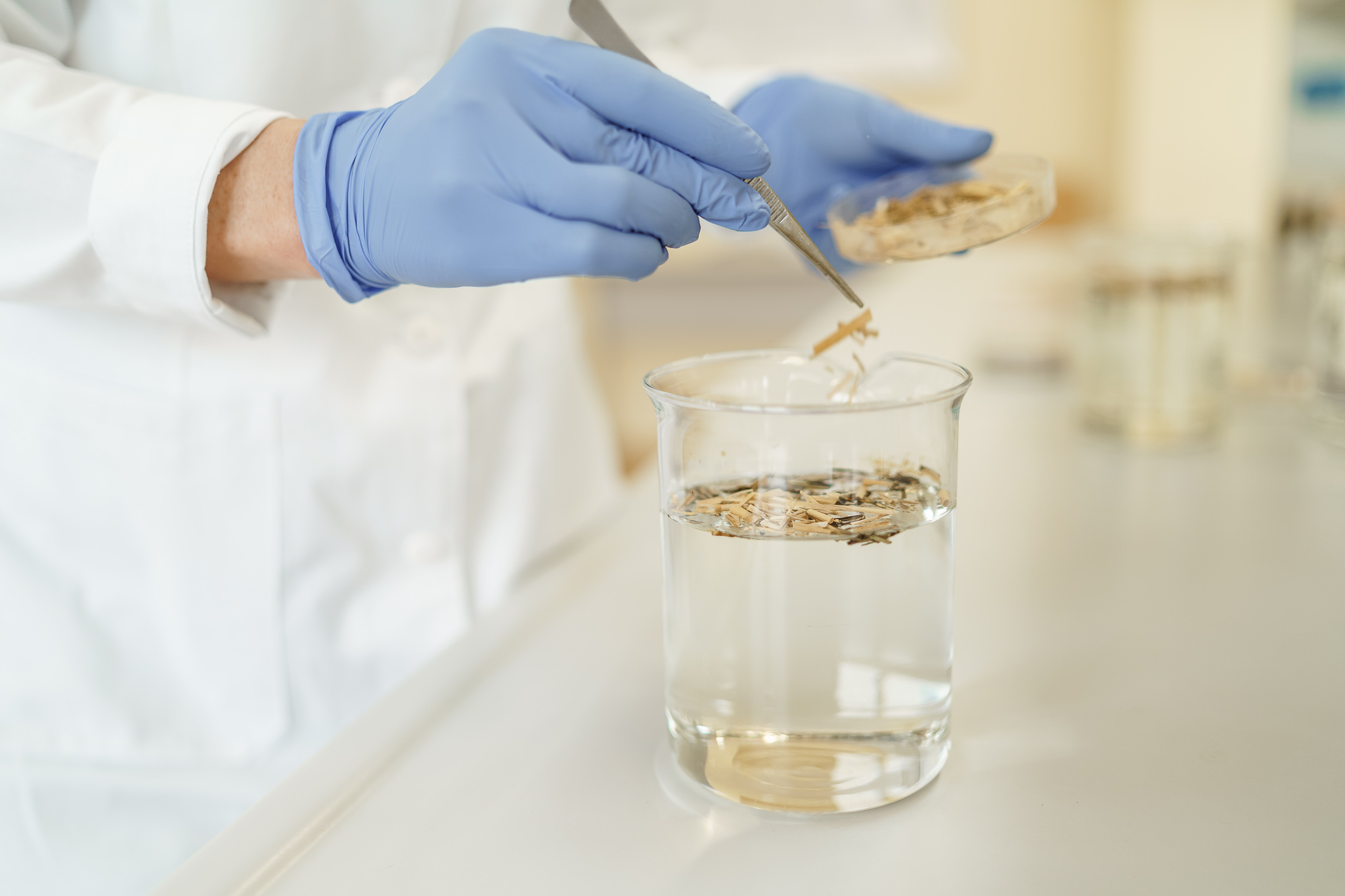 Hakatone „Portathon“ iššūkį meta KU biotechnologijų startuolis
