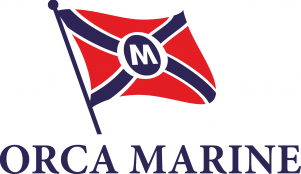 alternate image text