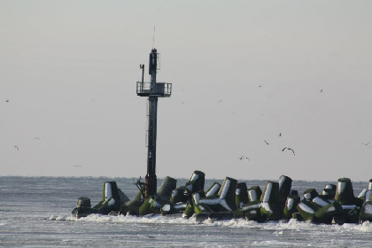 Cargo handling in Klaipėda port in January of 2012